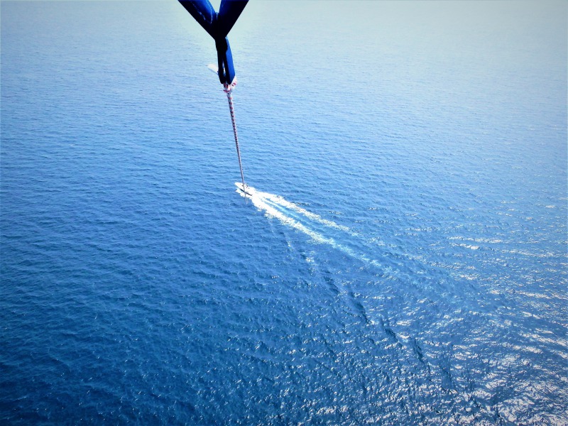 Ă̓E~KA~̓UgENW邱ƂB