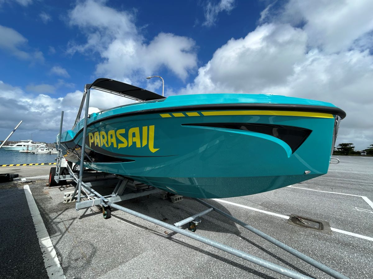 2025�N3���A�q�́wMoana���x�ň��S�E���S�E���K�E�����I�F����̈��S�ŗD��I