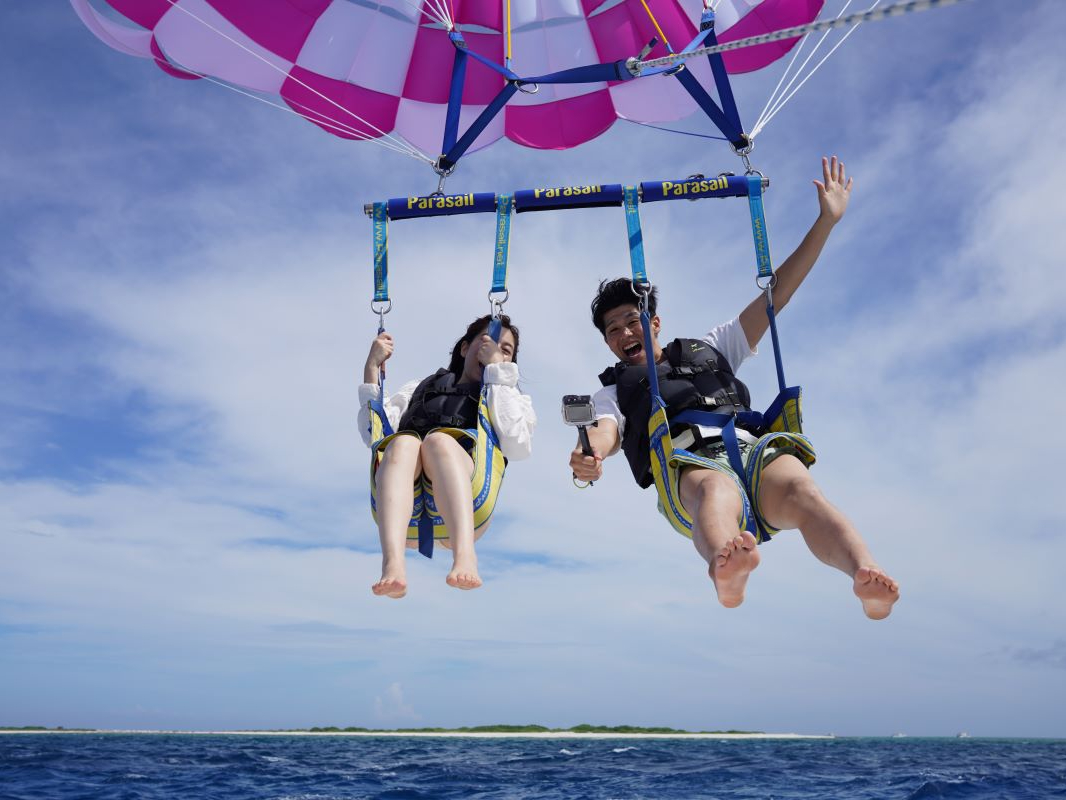 GoPro�����^���t���v������