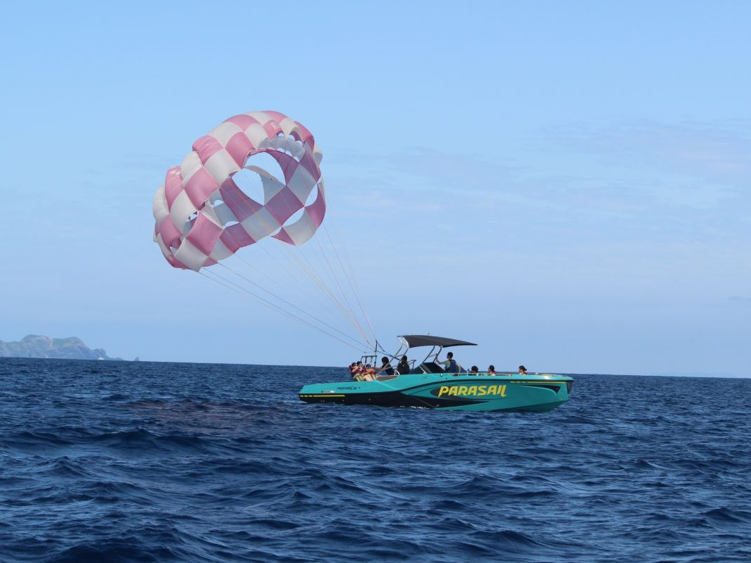 �ő�12���܂ł���D�\�B�O���[�v�ł����S�I