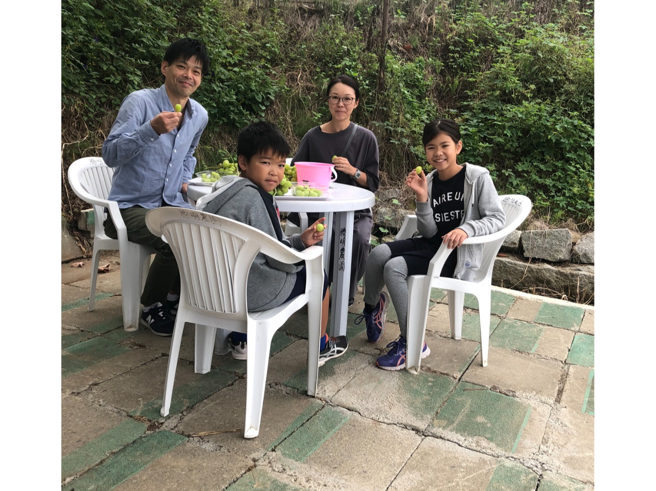 �y�����@�����V���C���}�X�J�b�g���