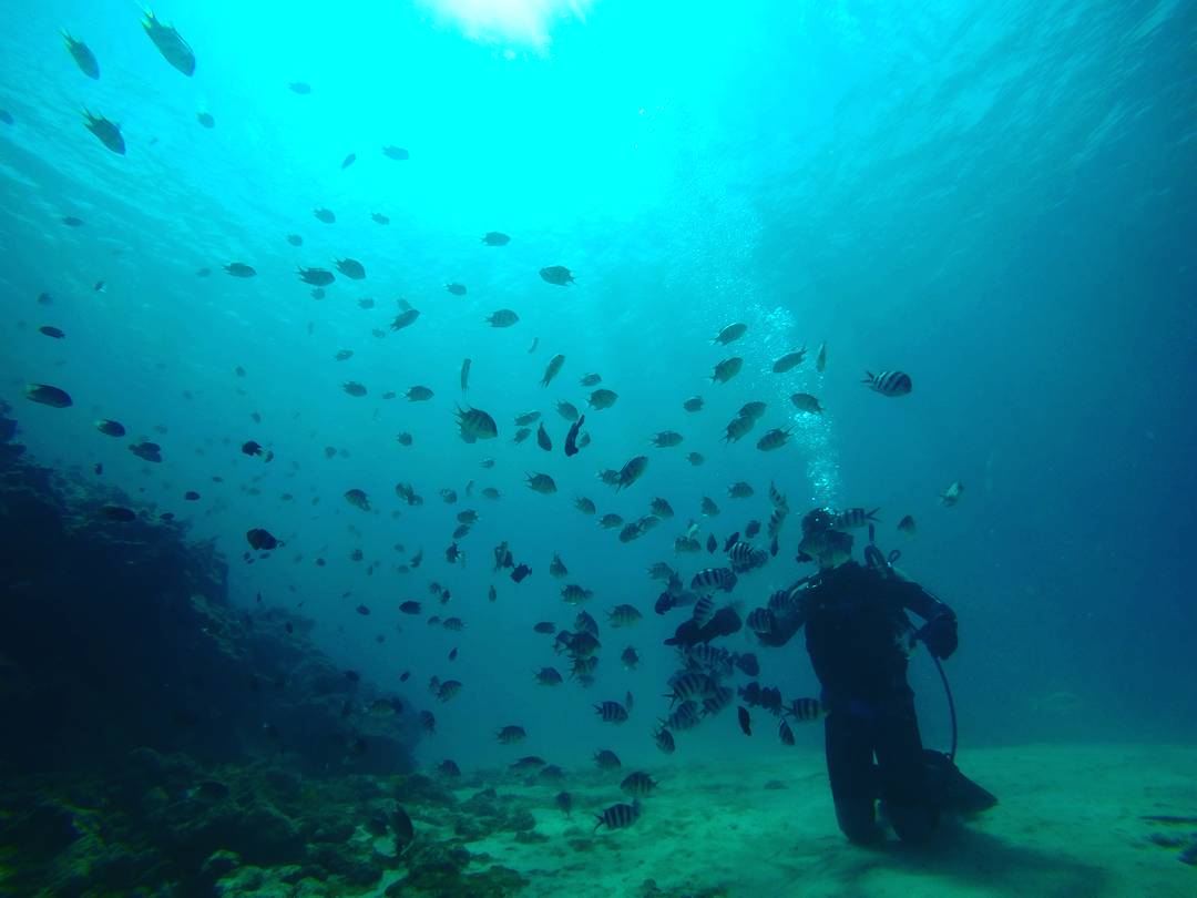 沖縄でしか見られないカラフル熱帯魚に餌付けも出来る感動体験(^.^)無料で出来るから皆様に喜ばれてます(^^)v