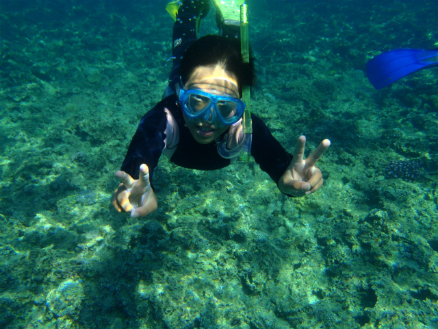 体力に余裕があれば、青の洞窟から帰って来るときに素潜りの練習も出来ます(^.^)最高の思い出をsimpleが約束します♪