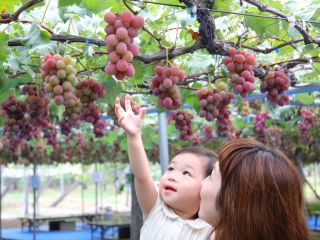 お子様も楽しめます♪