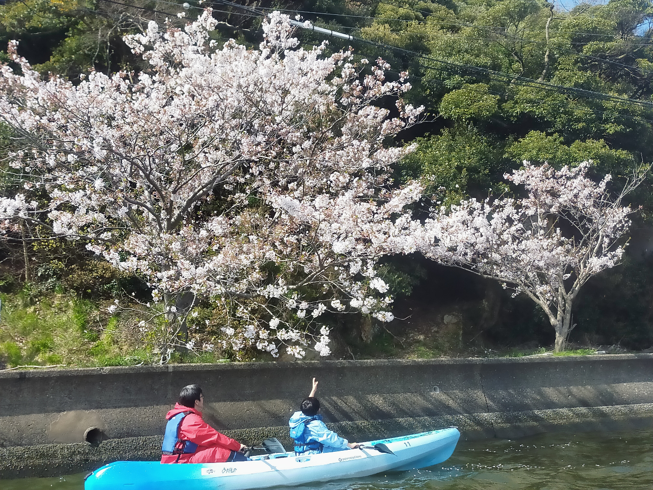 �����Ƃ͈�������Ԍ�����Ă݂܂��񂩁`�H