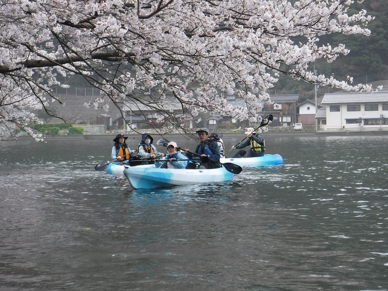 ���S�҂̕��ł��y���߂�􂻂ꂪ�J���b�N��