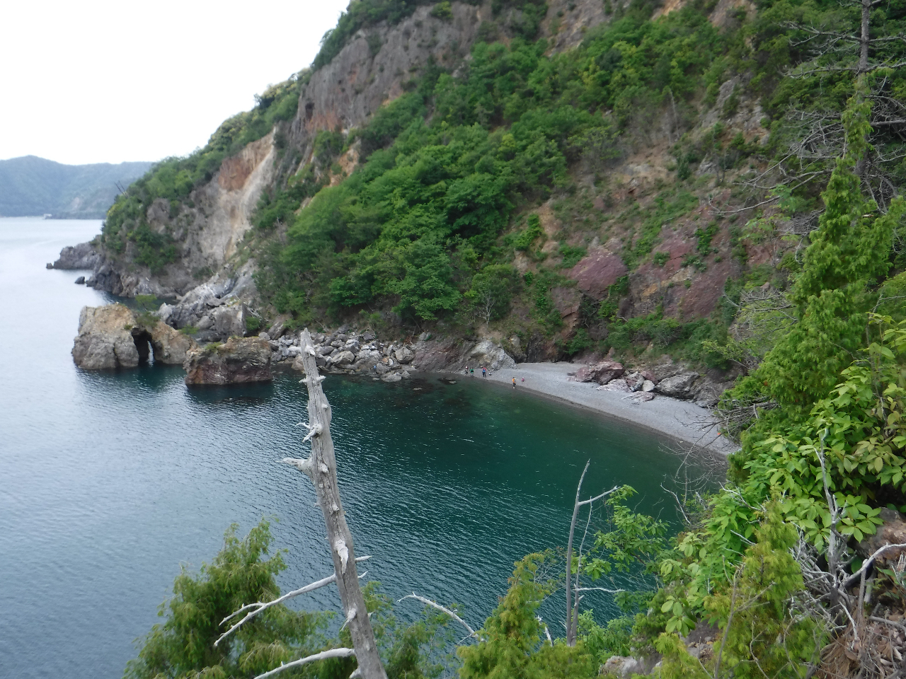 �c�A�[�r���ɗ������{�l�i���l�l�j�ŋx�e����ނ�̌���