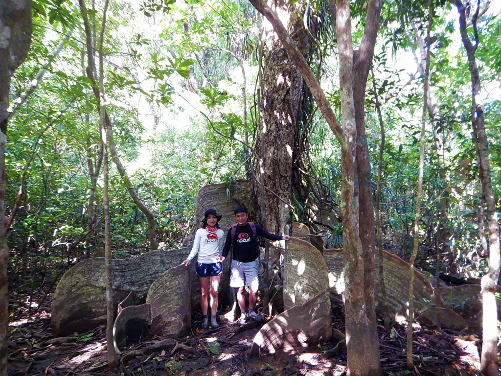 ̏܂ł̃gbLOSOBMт̓Aώ@Ȃočs܂B