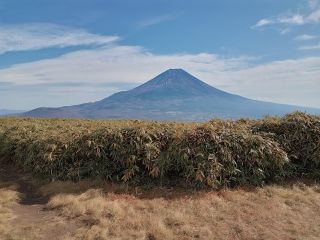 竜ヶ岳山頂からの富士山(無雪期)
