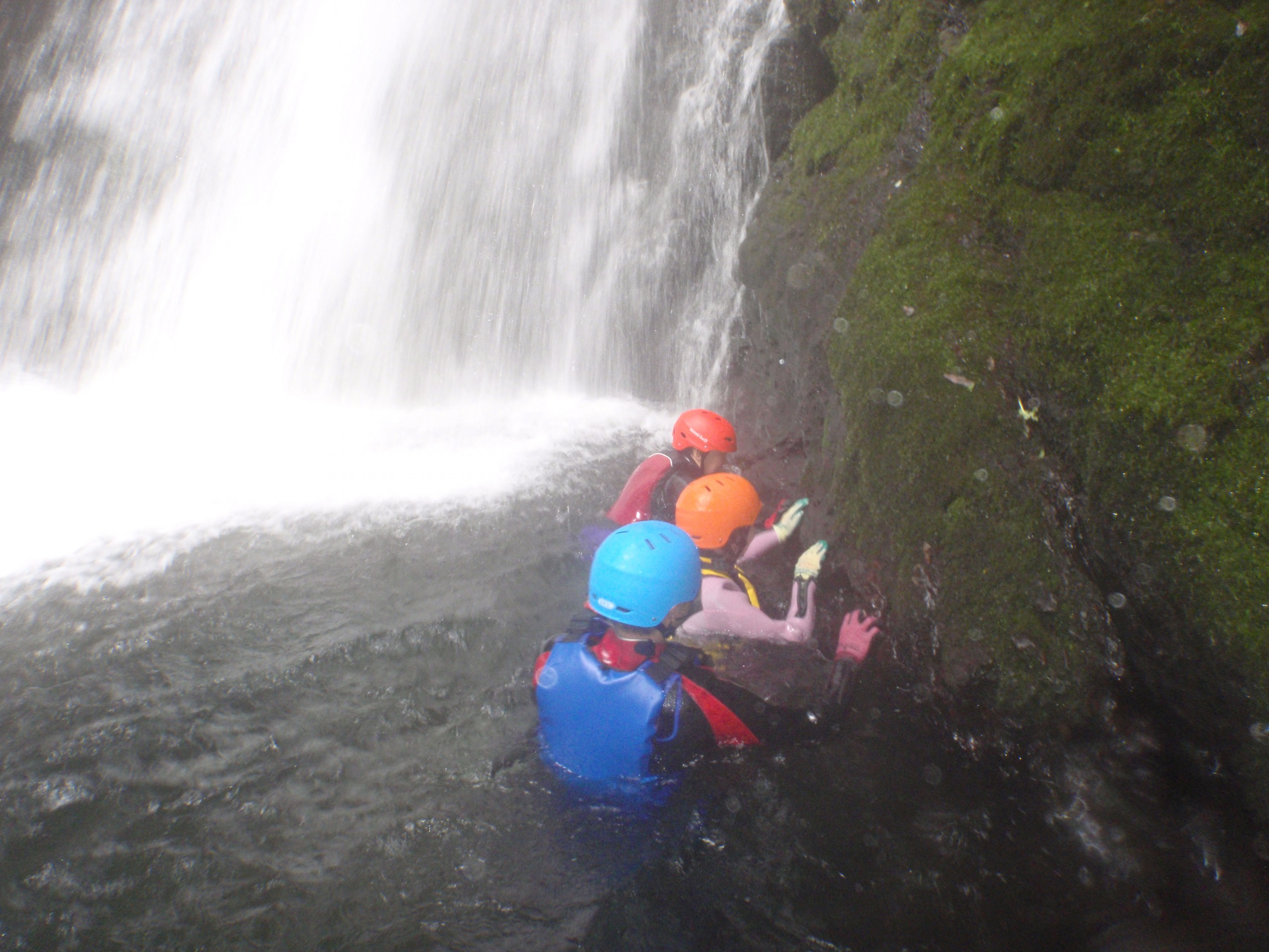 ꂭɂIi߂ɂȂAVȒ̗ʂĂ݂܂񂩁Hォ~蒍AVR̃V[͍ōłI