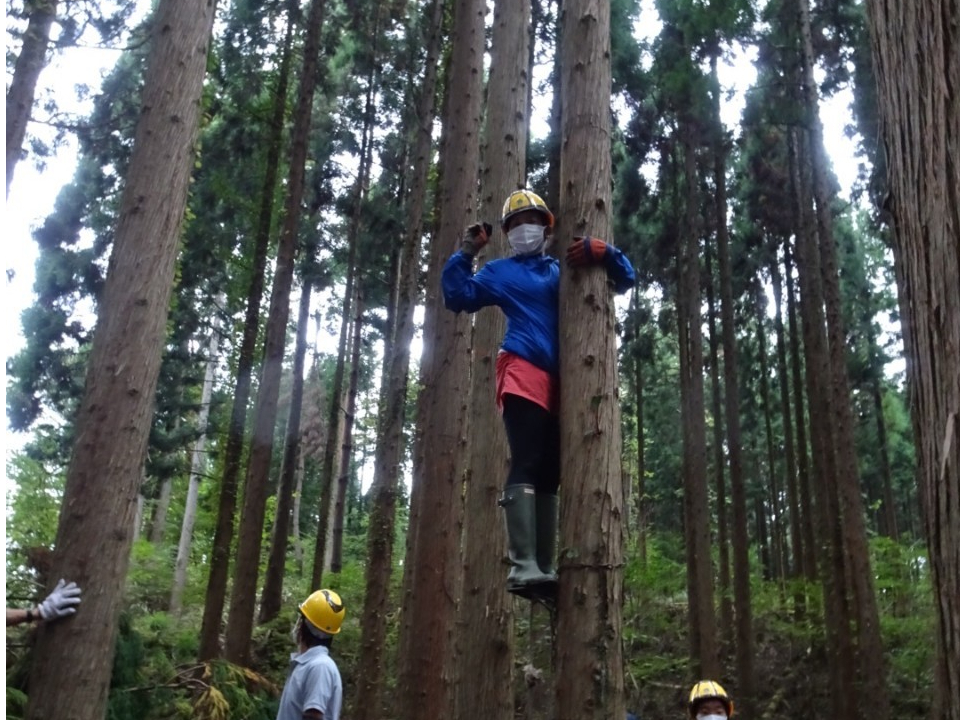 木登り機を使って枝打ち体験も挑戦!