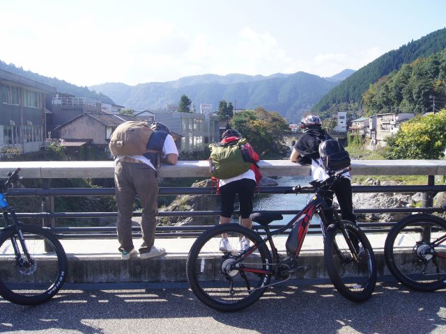 橋の上から川を除くと魚の姿が見えます!