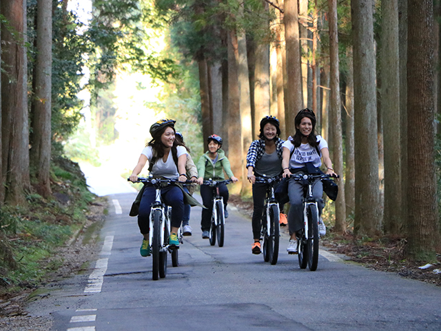 木々のトンネルをくぐり抜けるのはとっても気持ちイイ!