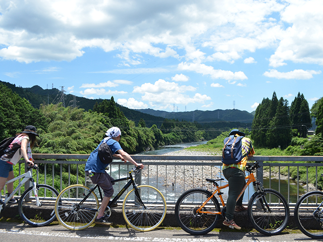 魚たちがキラキラ泳いでいるのが見えます!