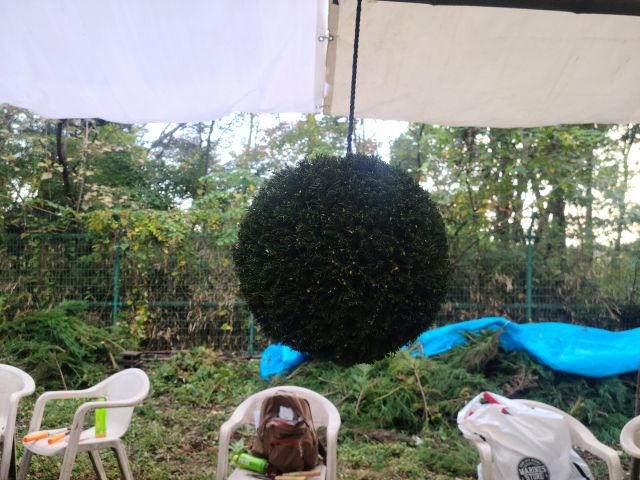 完成した杉玉