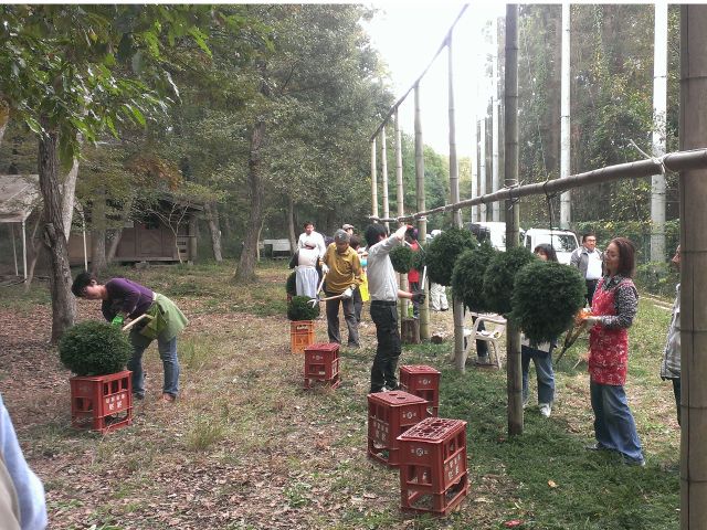 大小さまざまな大きさを作れます