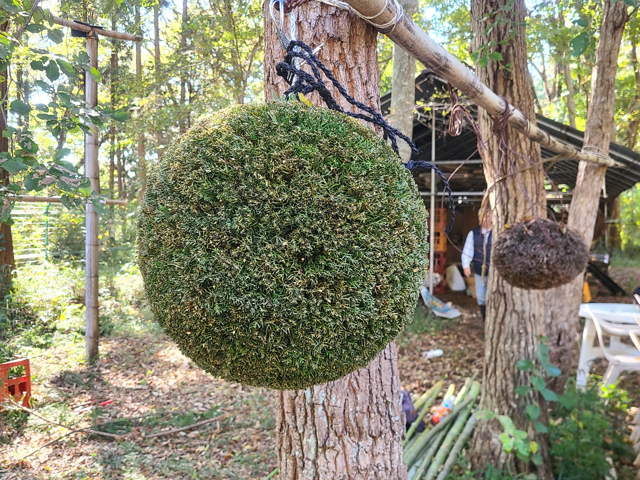 \ʂ`N`N܂Ŋ荞ނ̂Rcł