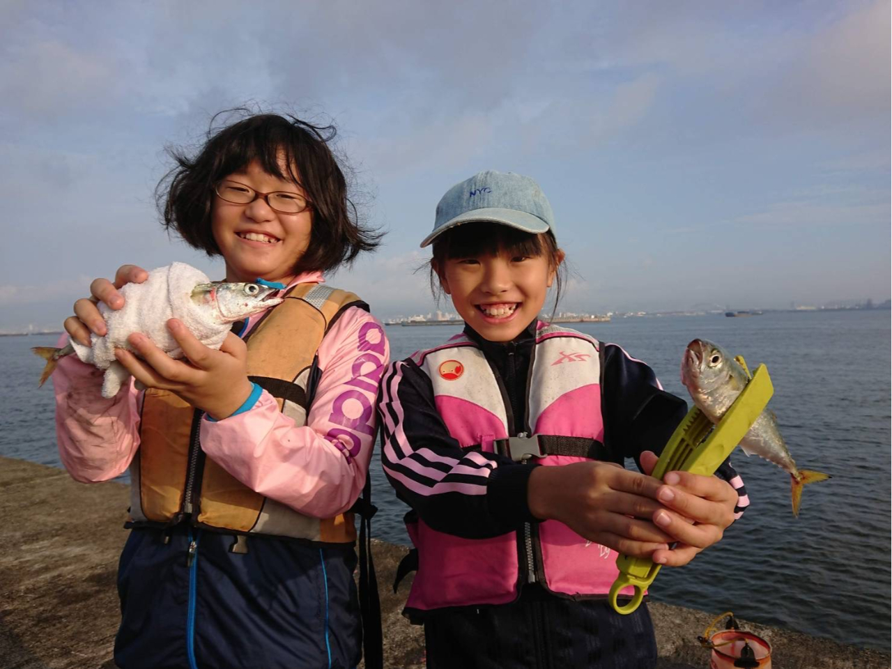 �`�r�b�q�A���O���[�ɂ����S�I����̗ǂ��ނ��ł�