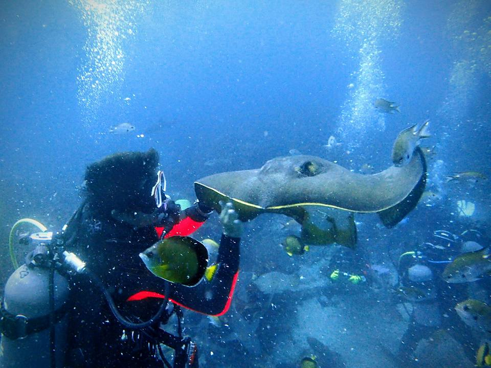 持ち物は水着とタオルだけ 伊豆半島 体験ダイビング レンタル器材 送迎込み 女性にオススメ Nautilus じゃらん遊び体験