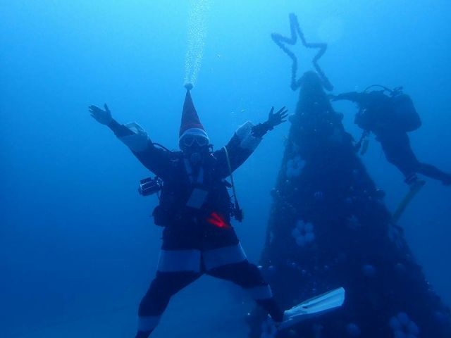 持ち物は水着とタオルだけ 伊豆半島 体験ダイビング レンタル器材 送迎込み 女性にオススメ Nautilus じゃらん遊び体験 持ち物は水着とタオルだけ 伊豆半島 体験ダイビング レンタル器材 送迎込み 女性にオススメ Nautilus じゃらん遊び体験
