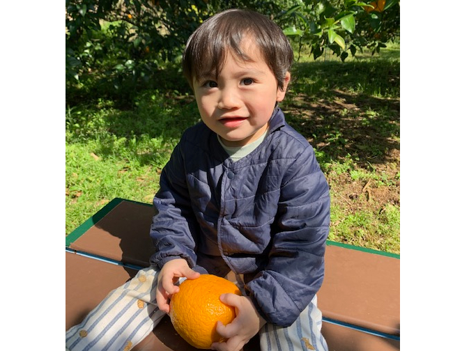 ������Ȕ��ŏ����Ȃ��q�l�͂������A���̈������E�Ԃ����̕��ł��݂����肪�y���߂܂��B