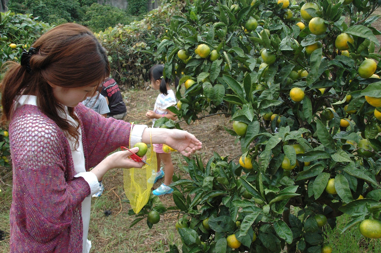 ★広い農園で三密を回避して楽しめます★