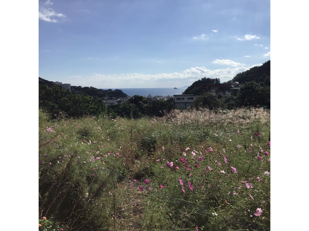 ★売店からの景色★