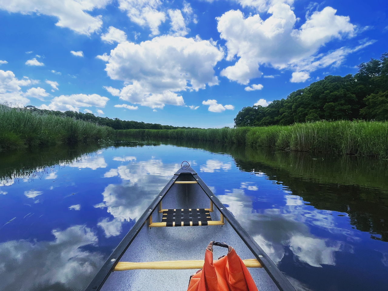 Ȃ͐ʂɋ󂪉f܂B܂Ŕł邩̂悤