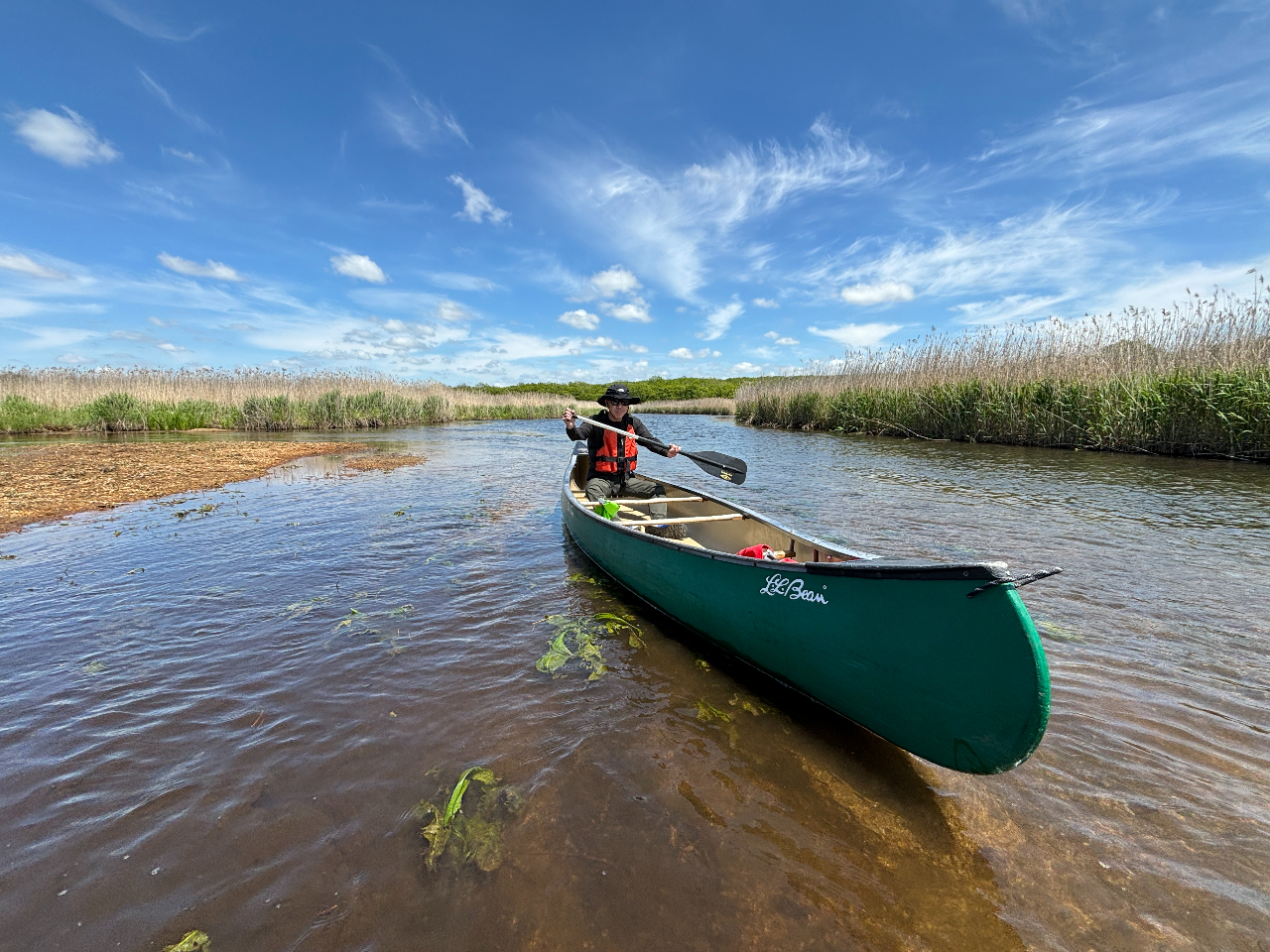 Cۏǂ͊]1lŃ`W\łB