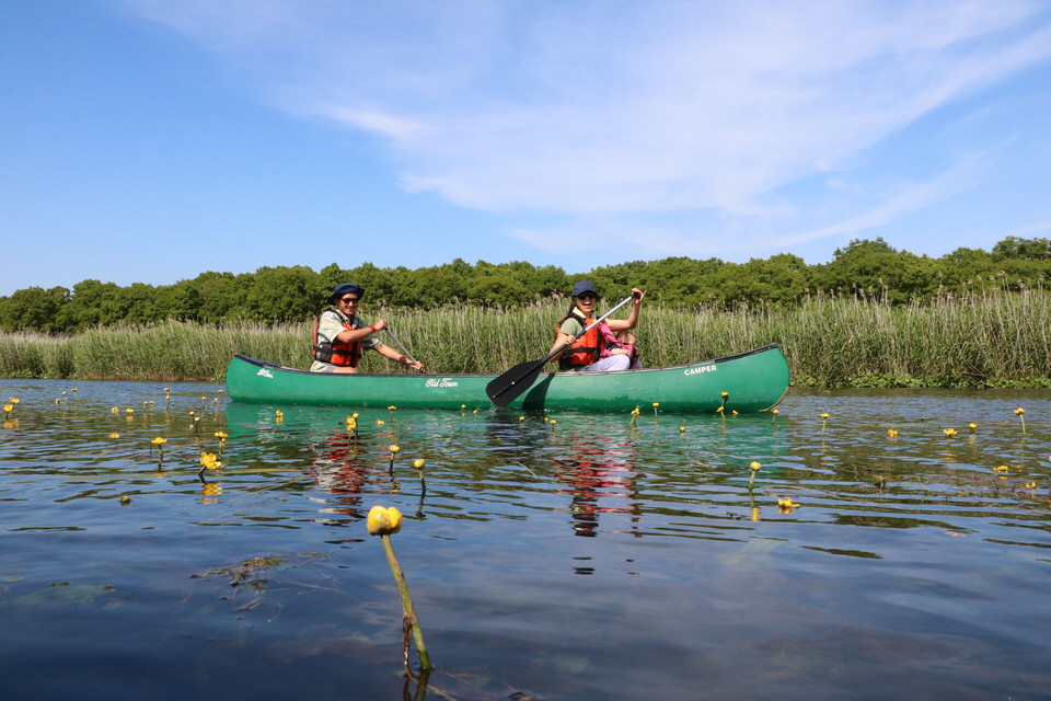 ̃R[XȂł͉Ԃ̒ł̃Jk[