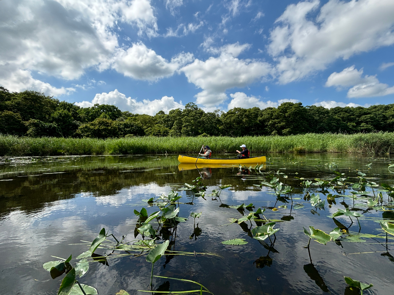 広い空の中下ります。