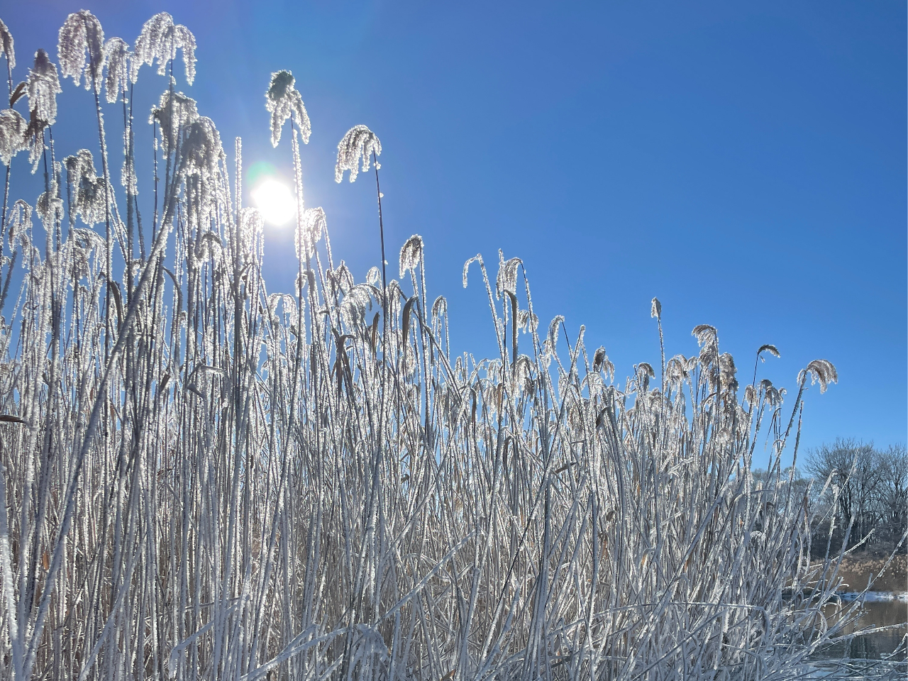 �����t���L���L�����Ă��܂��B