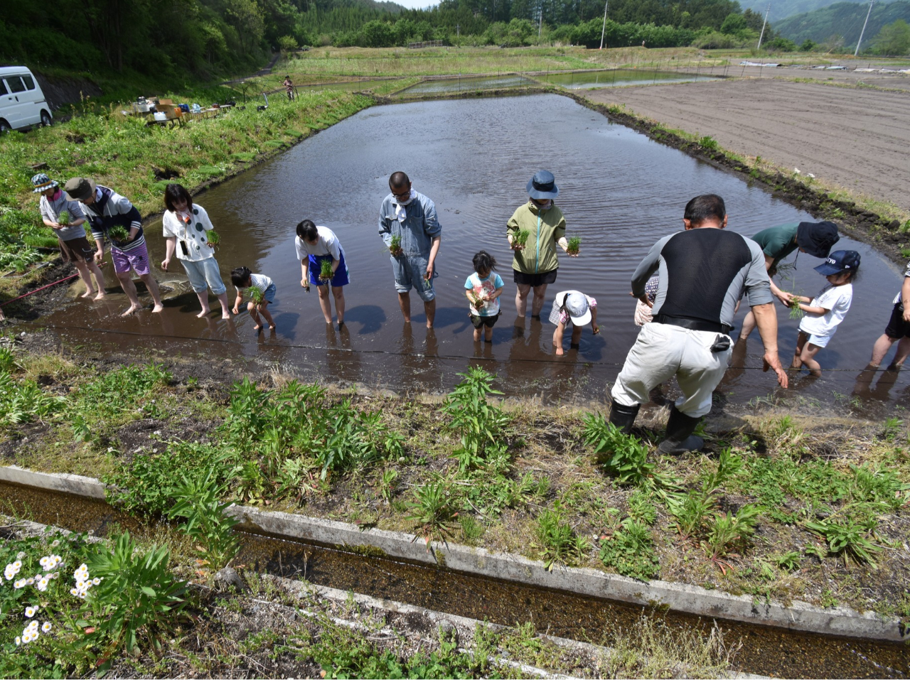 �c�C�R�L�����v�t�H���X�g�̎ʐ^4