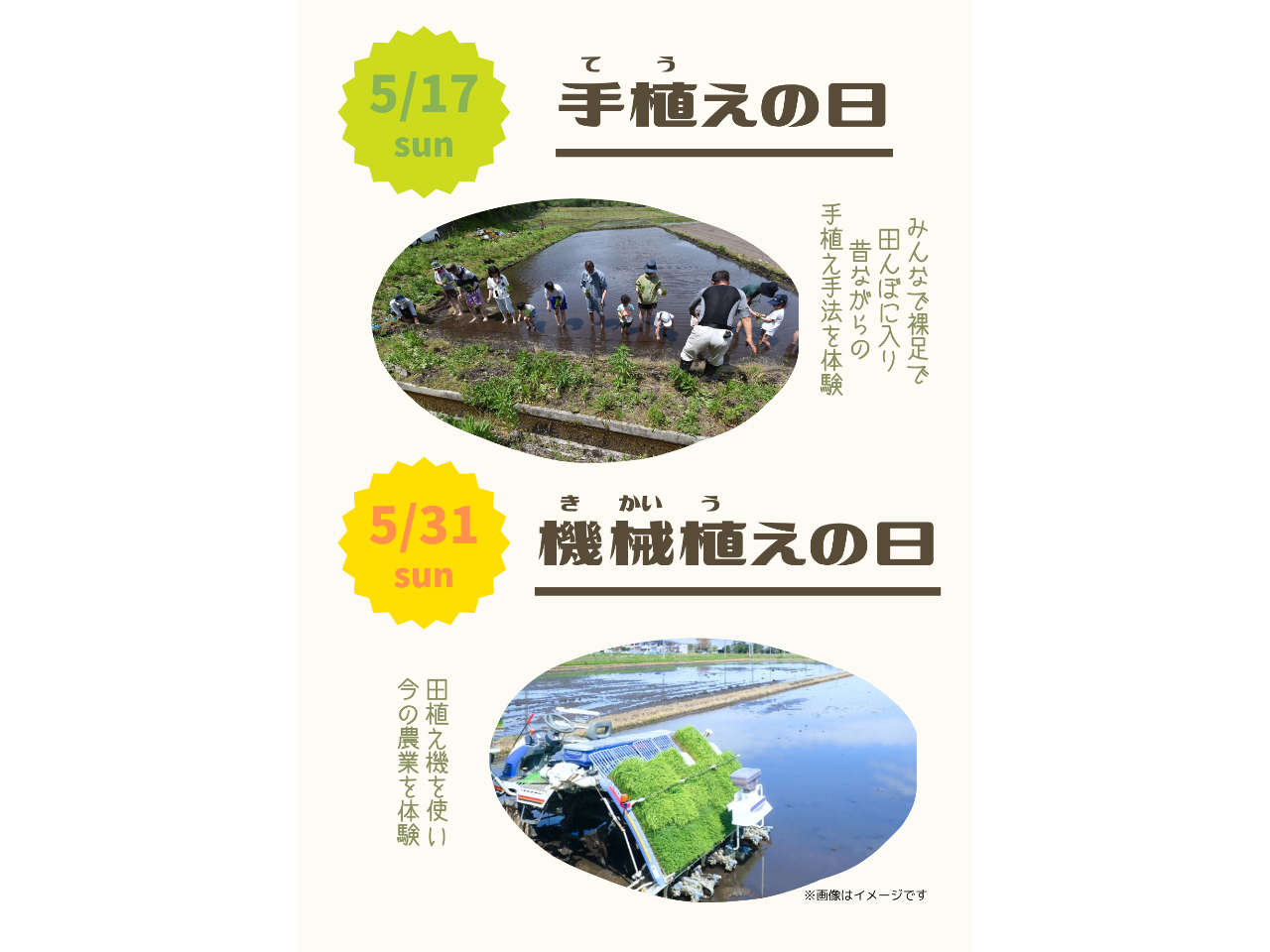 �c�C�R�L�����v�t�H���X�g�̎ʐ^3