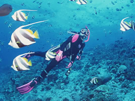 【体験ダイビング】楽しいダイビングの世界へ