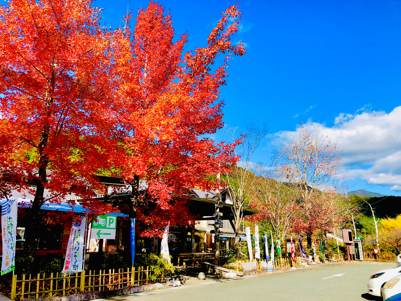 �u���̉w�y�����߂���v�@BBQ�ł��������ς��ɂȂ�����A�V�����[�ŃX�b�L���A���y�Y�����Ċy����ł��������B