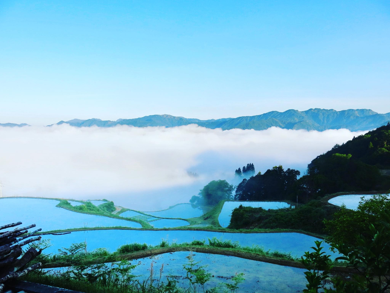 ߂̒IciB^ǂ΂ȉ_Cɏo邩B