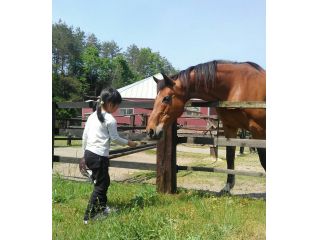 エサやり体験 奥能登唯一の乗馬クラブで本物の馬を体感しよう ストローク乗馬クラブはなむけ じゃらん遊び体験 エサやり体験 奥能登唯一の乗馬クラブで本物の馬を体感しよう ストローク乗馬クラブはなむけ じゃらん遊び体験