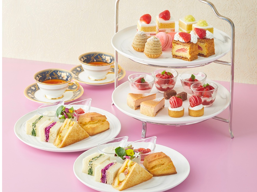 12/2�`5/6�u�������v