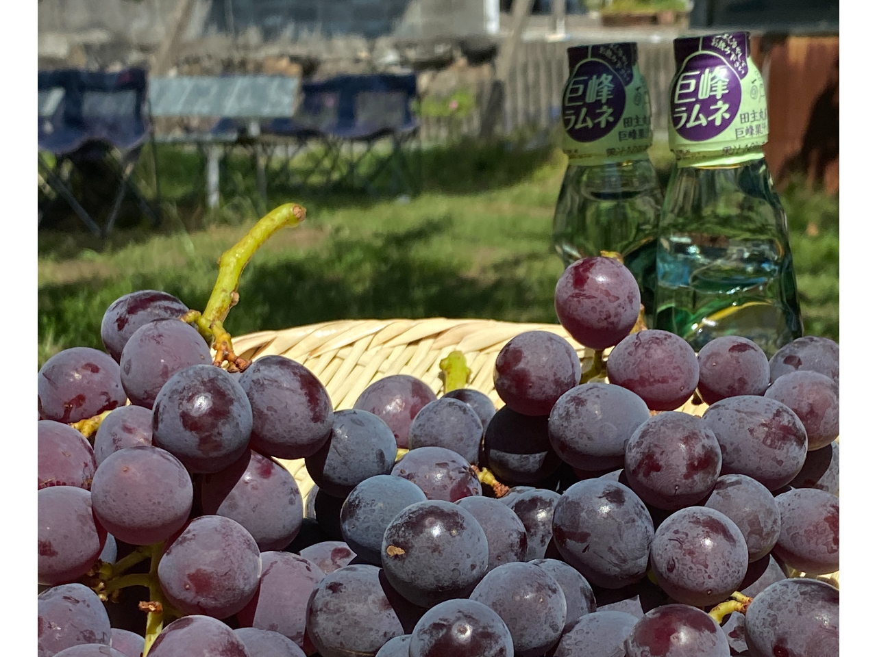 2025年開催予定！【じゃらん限定☆うれしいおみやげ付き】【8月