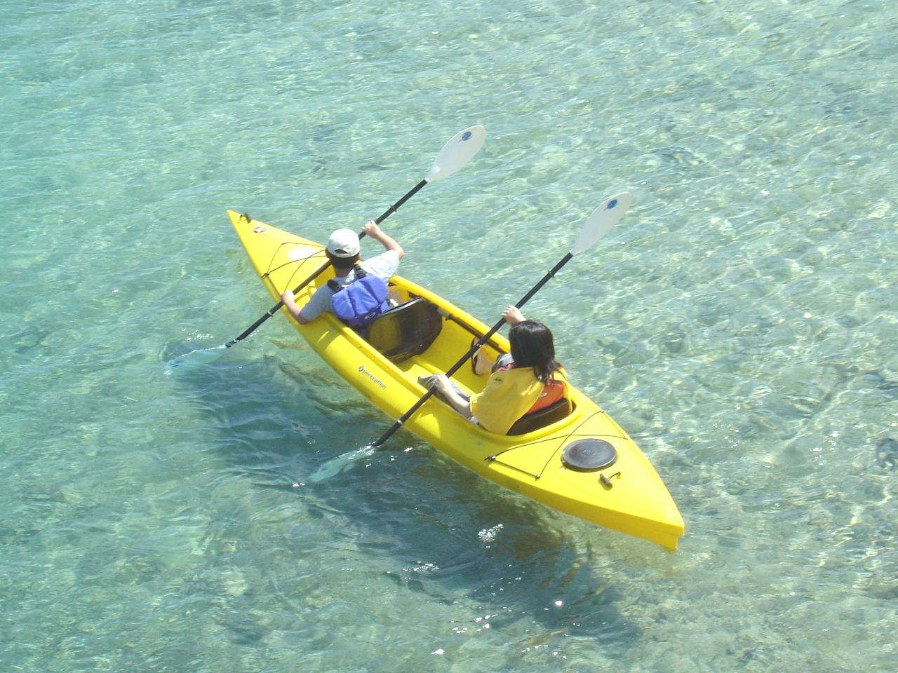 【徳島・竹ヶ島/シーカヤック】サンゴが広がる美しい海でシーカヤック体験■ファミリ...