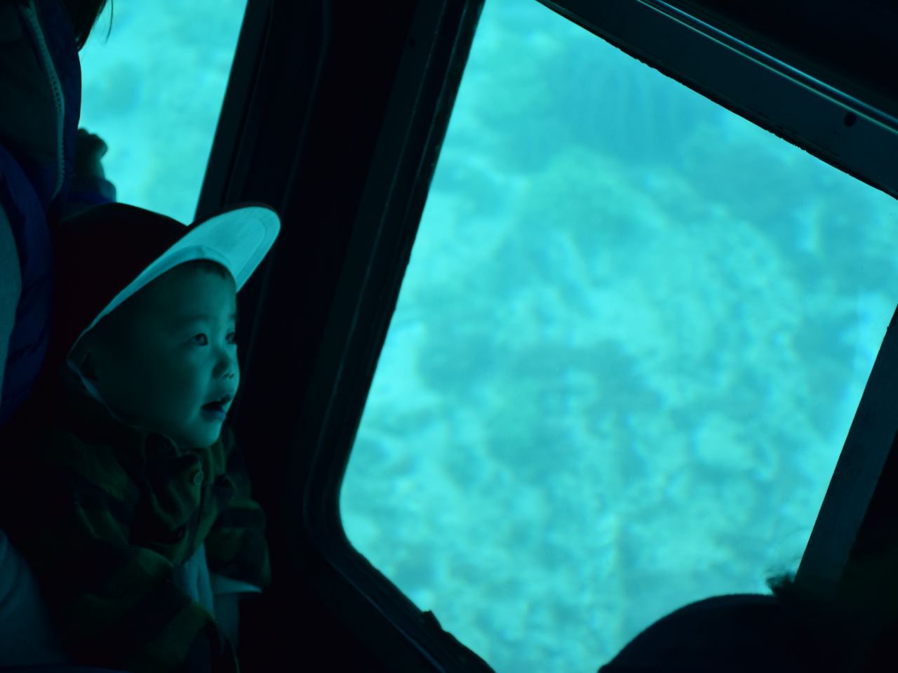 ���C�h�r���[�̊ϗ�������C���̌i�F�����y���݂��������܂��B