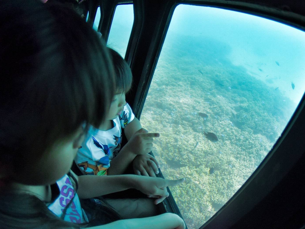 ���C�h�r���[�̊ϗ�������C���̌i�F�����y���݂��������܂��B