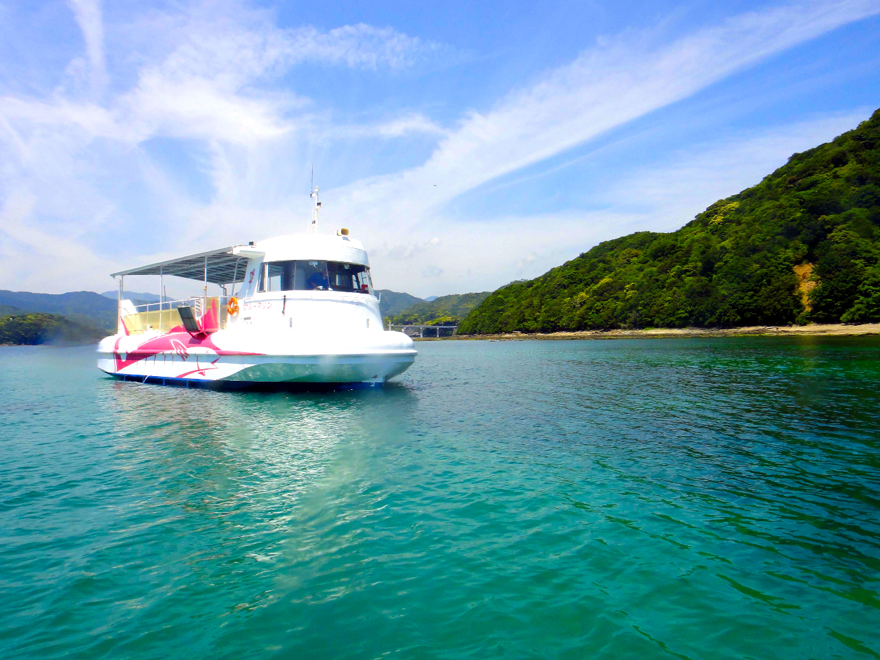 平日プラン/当日予約OK!【1/1~5/6のご予約はこちらから!】まるで海中散歩...