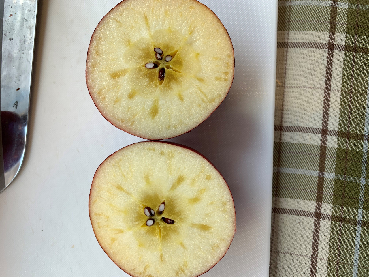 種類によっては蜜が入るりんごもあります。