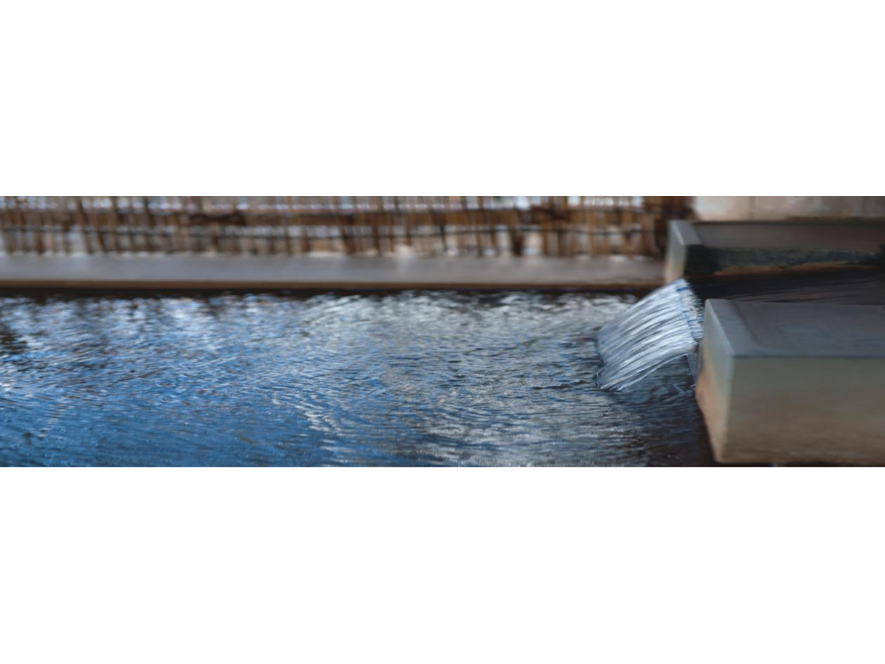 lG̈ڂ낢IVC[tIVCu΍qv