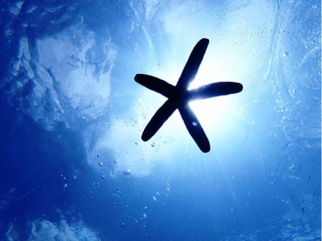 知ってました?光らない星も綺麗なんです♪まだ知らない感動をあなたに