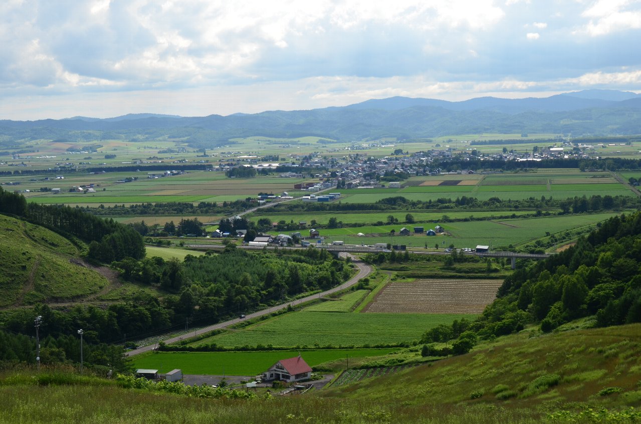 �R������̕��i