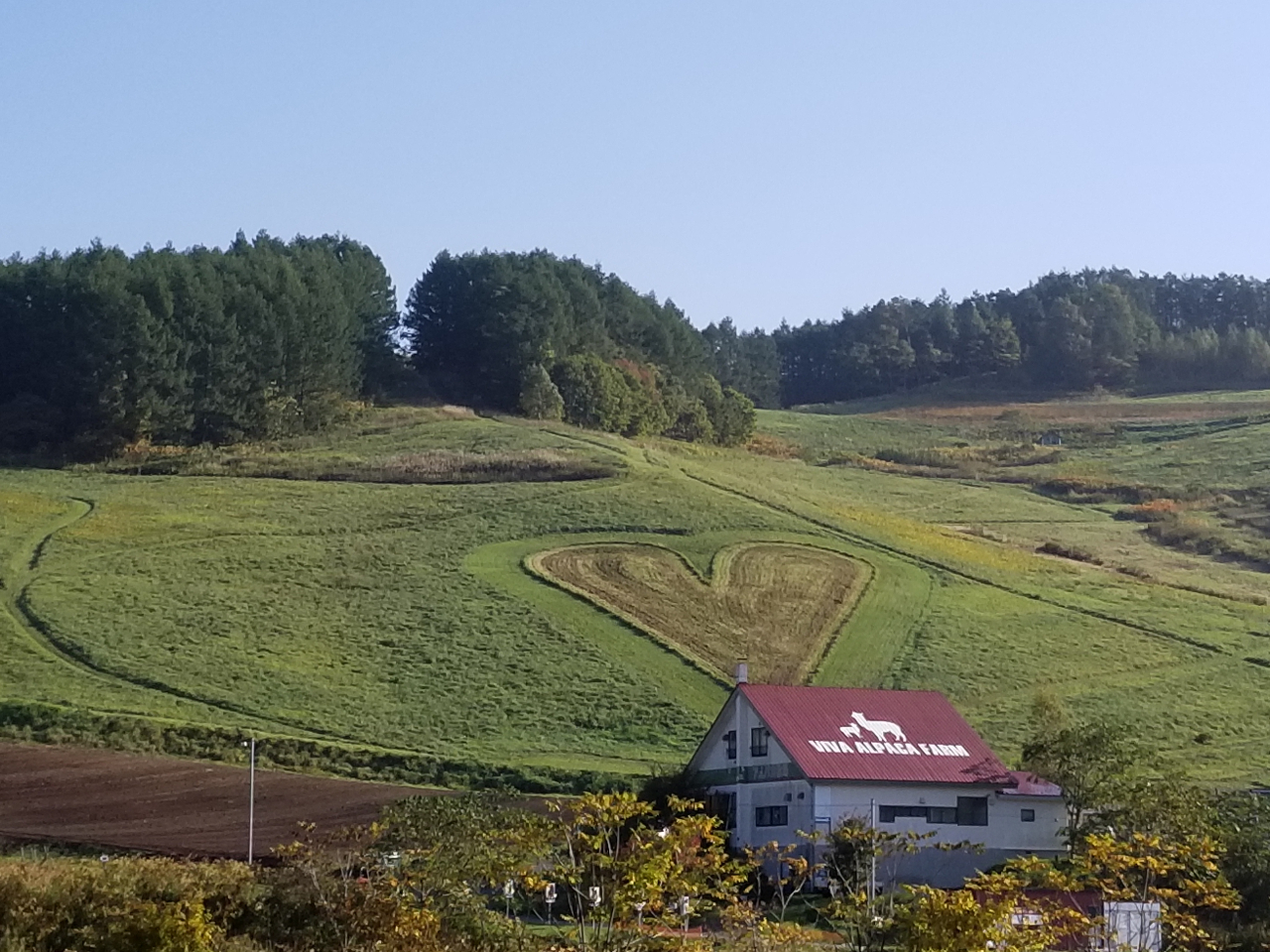 【VIVAアルパカ牧場 外観】赤い屋根にアルパカのロゴが目印!