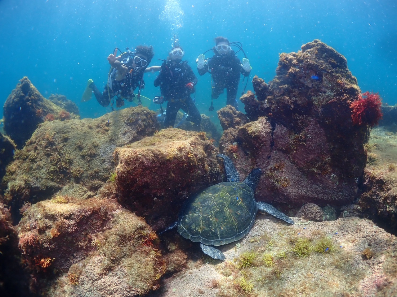 āi7~10j͉^ƃE~Kɉ邩IH